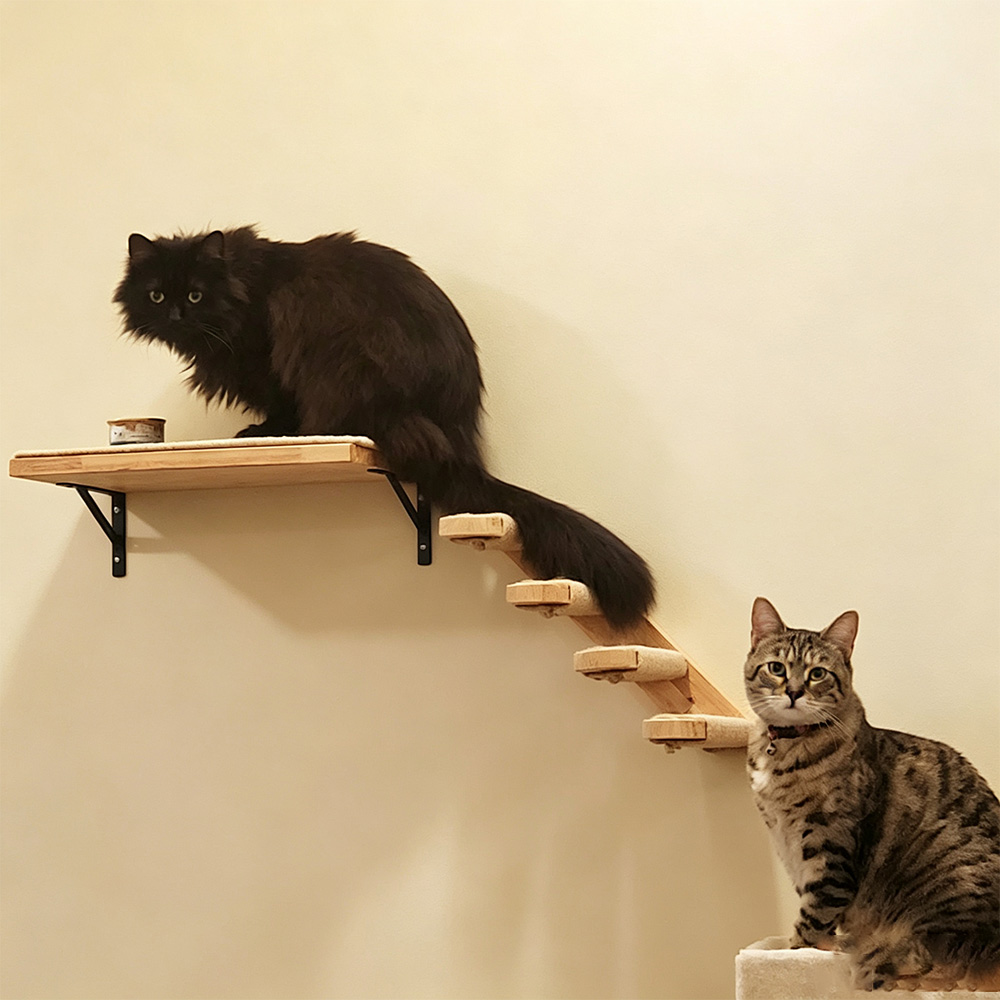 Cat Furniture Solid Wooden Sus - Furniture Paradise & Hardware Ghaziabad ulasan dan harga